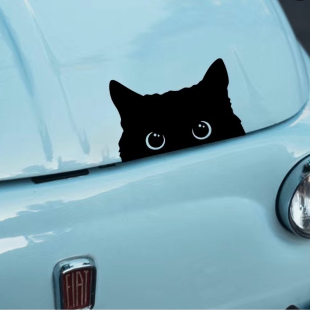 3/$15 Spying Cat Vinyl Car Decal / Sticker - Picture 1 of 5